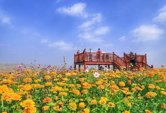 黃河石林美景D