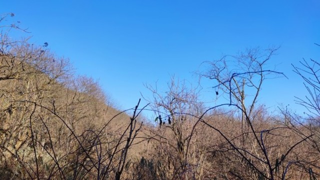 彭州天臺(tái)山蔚藍(lán)的天空