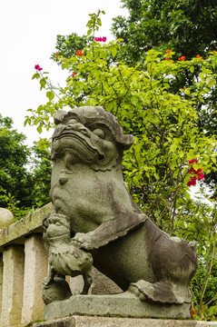 泉州開元寺的石獅子