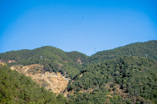 山