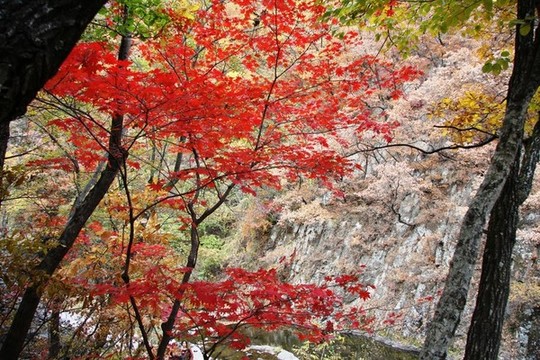 遼寧本溪關(guān)門(mén)山紅葉