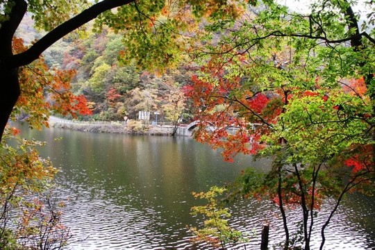遼寧本溪關(guān)門山紅葉