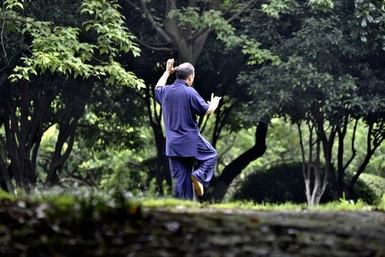 老年男人打太極拳
