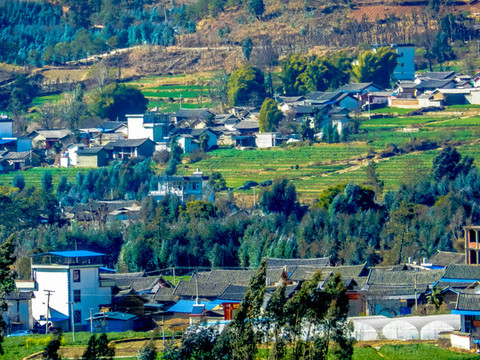 農(nóng)村
