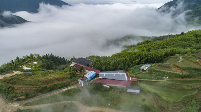 高山鹿場(chǎng)