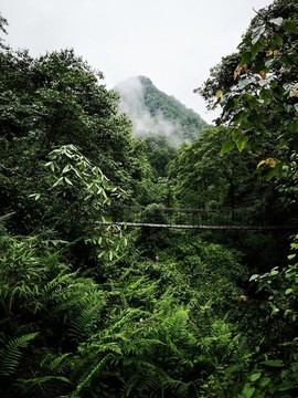 青山