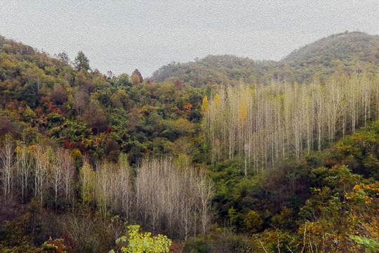 電腦油畫秋天的山林