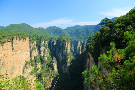 張家界風景區(qū)峰林地貌景觀