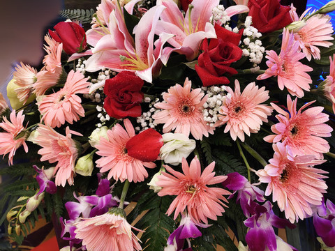 百合花波斯菊玫瑰花