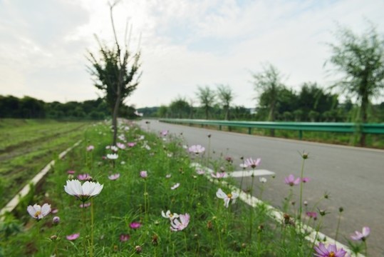 鄉(xiāng)村公路