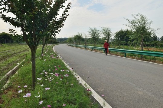 鄉(xiāng)村公路