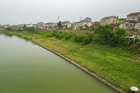 長江岸邊