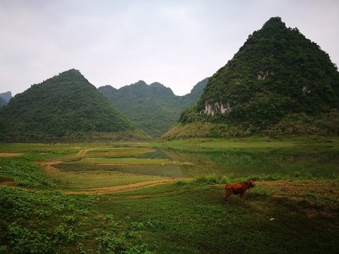 山區(qū)草地