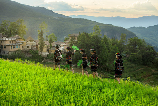 元陽(yáng)梯田