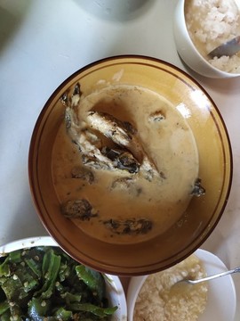 巖骨魚與魚湯