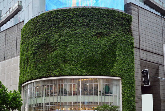 商業(yè)建筑戶外綠色背景墻