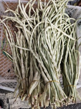 長(zhǎng)豆角
