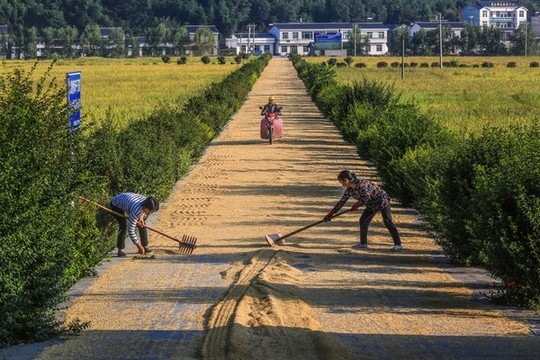 公路曬場