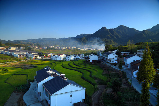 同慶溝T