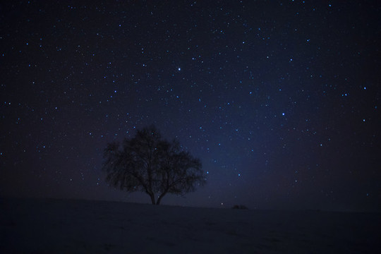 夜景