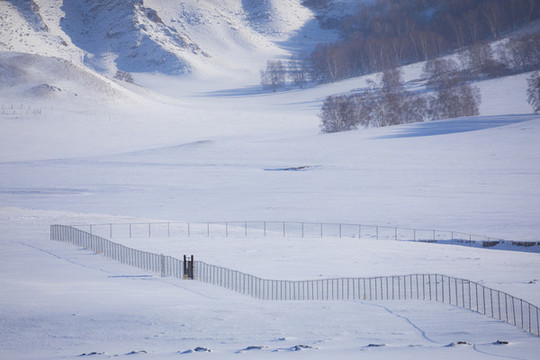 雪景