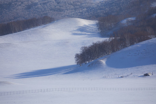 雪景