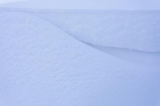 雪景