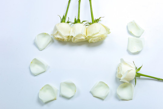 鮮花