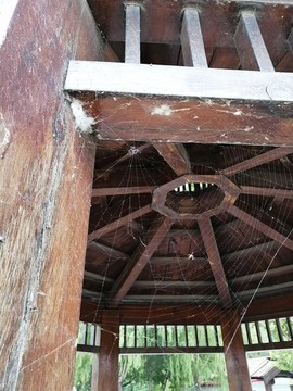 木結(jié)構(gòu)仿古建筑帶蛛網(wǎng)