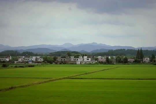 田園田野