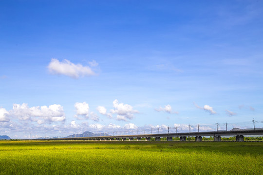 夏季風(fēng)光