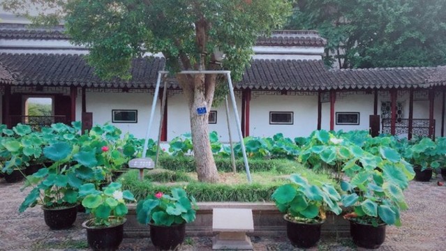 太倉南園
