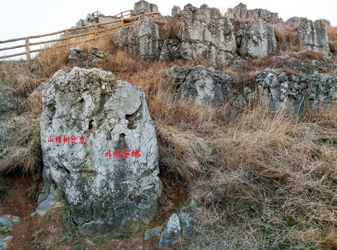 山楂樹外景地