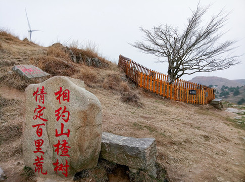 山楂樹外景地