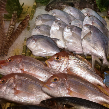 水產(chǎn)魚類