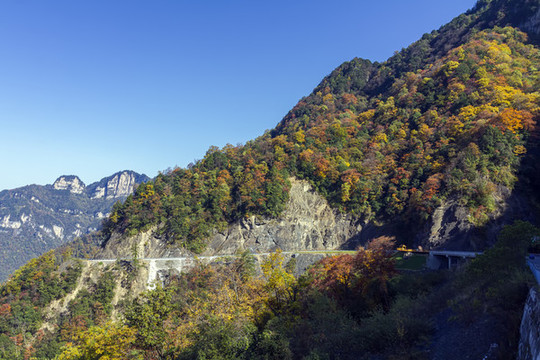 神農(nóng)架秋色