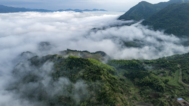 高山云霧