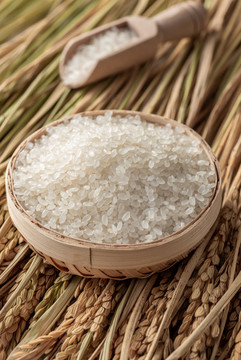 大米米粒特寫(xiě)