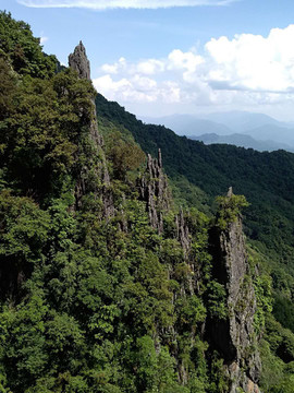 林中有山