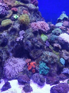 海底世界