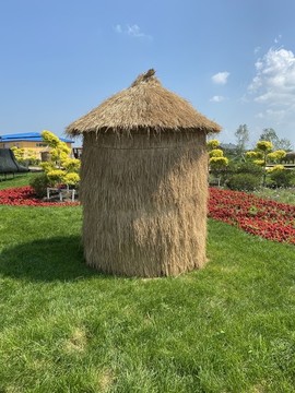 草編