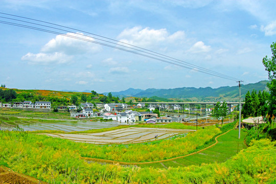 中峰貢米基地EB