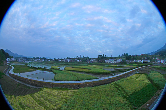 中峰貢米基地ET