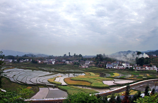 中峰貢米基地EV