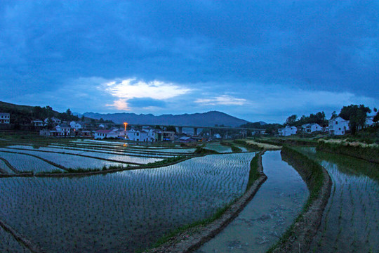 中峰貢米基地GT