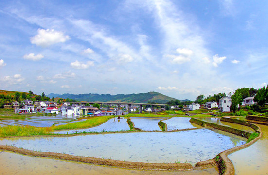 中峰貢米基地HP