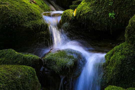 山澗溪流