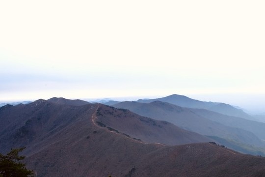 龍王山
