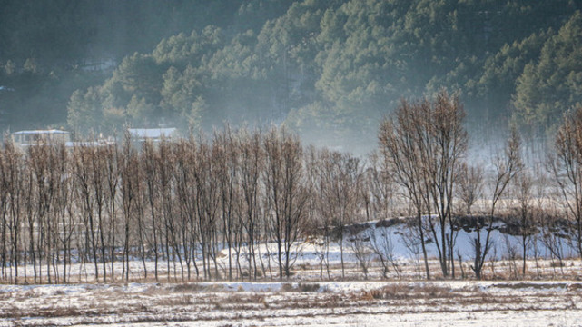 農(nóng)戶雪景