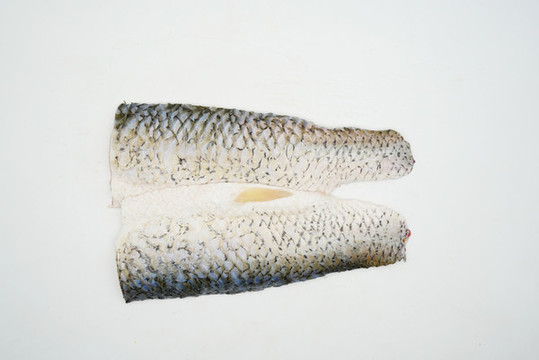 魚肉